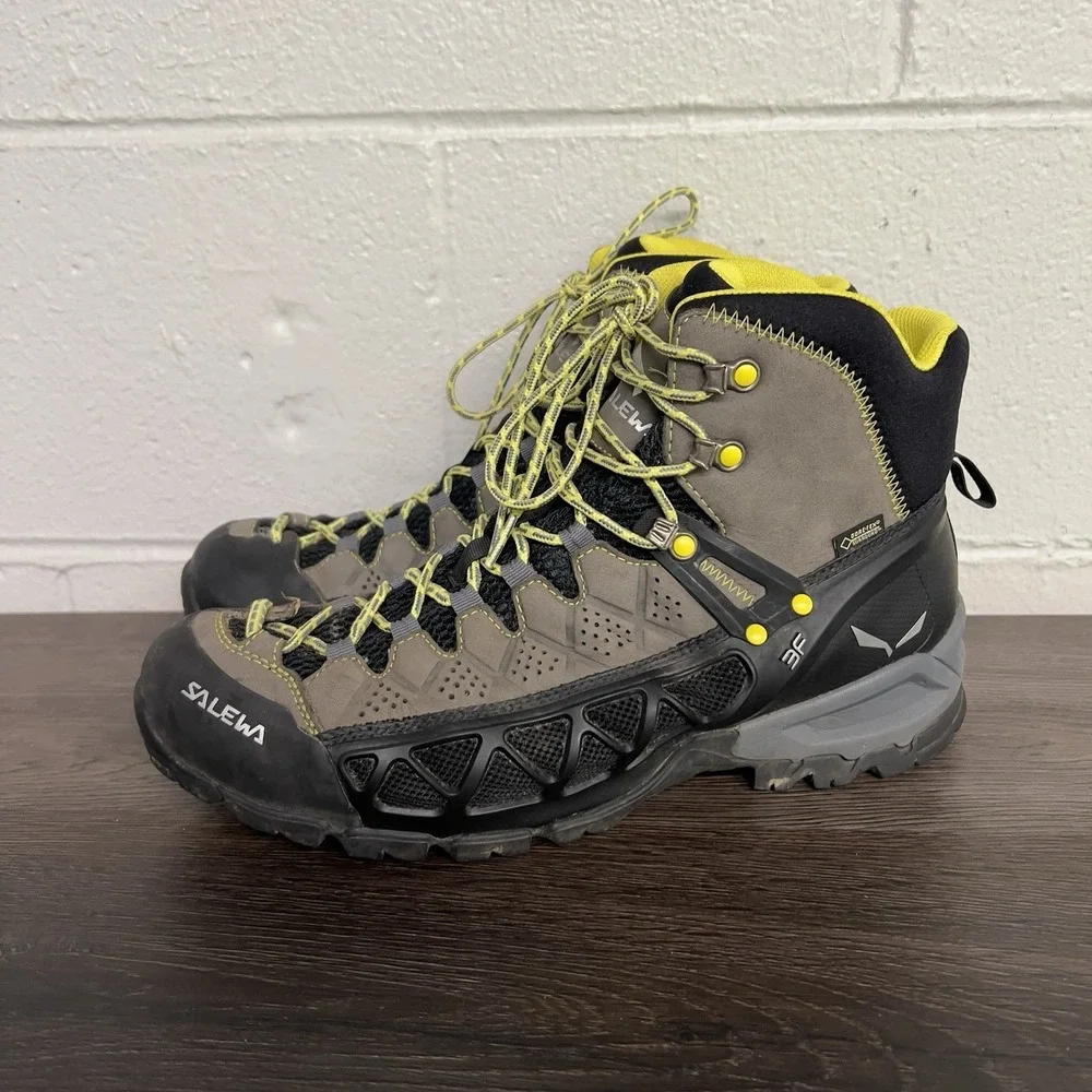Salewa ms alp